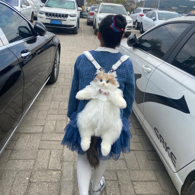 2026 New In Stock Ragdoll Cat  - огляд і ціна Travel Accessories Gift Ideas